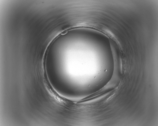 X0000067000892200603271337
