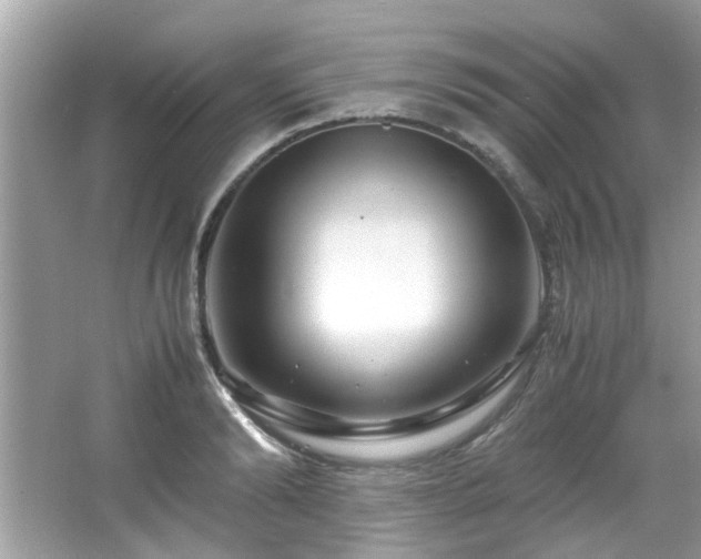 X0000067000894200603271337