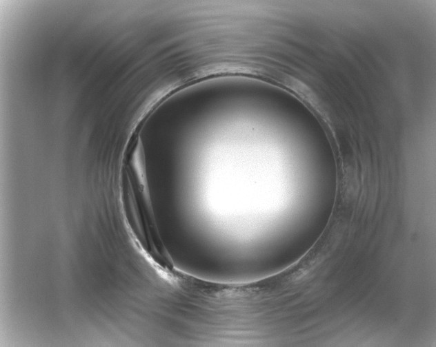 X0000067000898200603271337