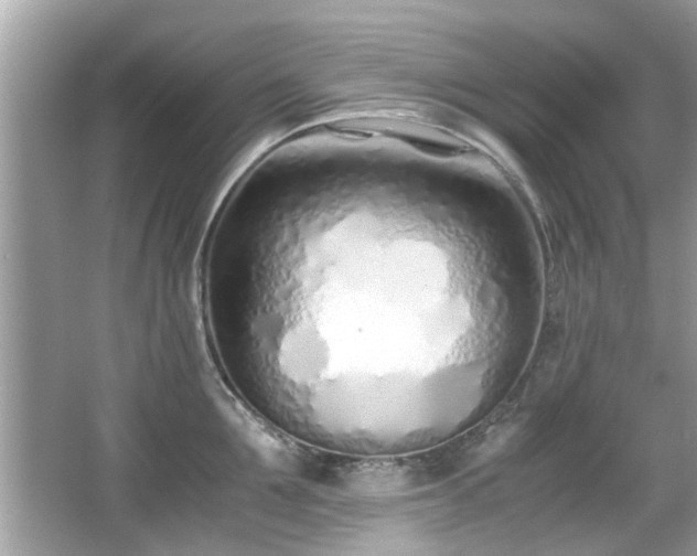 X0000067000907200603271337