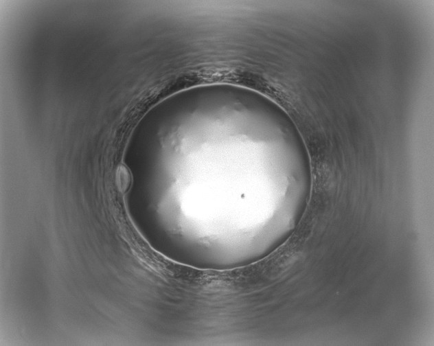 X0000067000913200603271336