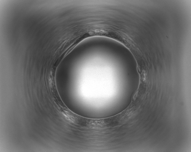 X0000067000915200603271336