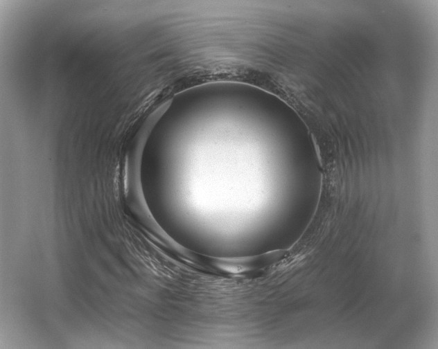 X0000067000916200603271336