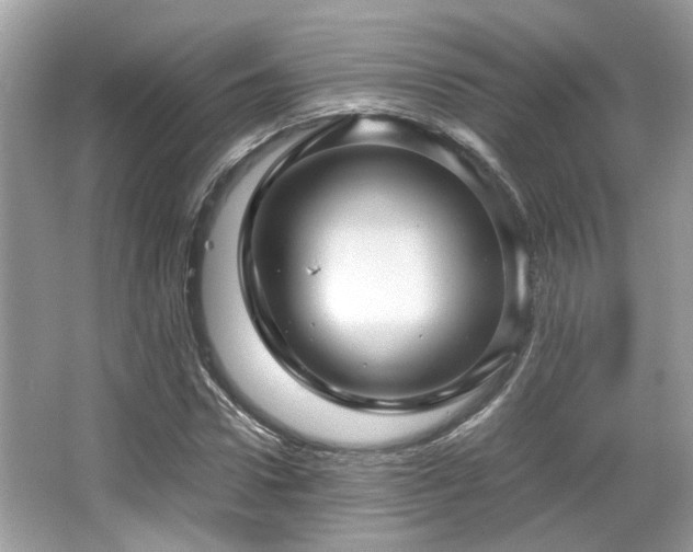 X0000067000922200603271336