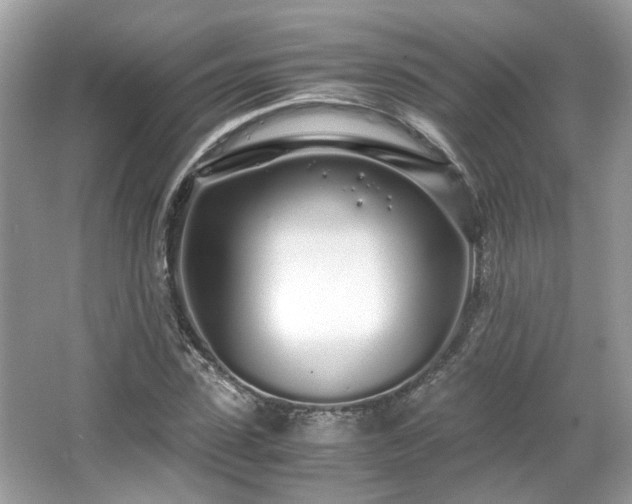 X0000067000923200603271336
