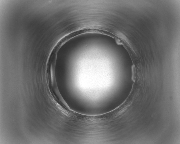 X0000067000924200603271336