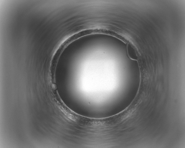 X0000067000927200603271336