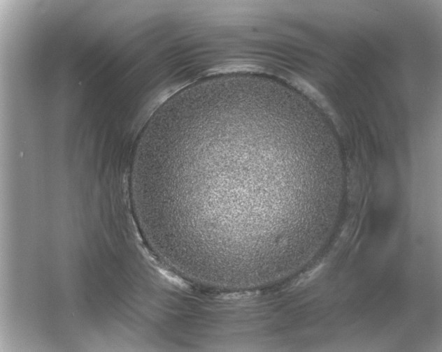 X0000067000937200603271336