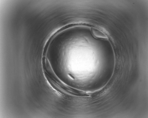 X0000067000943200603271336