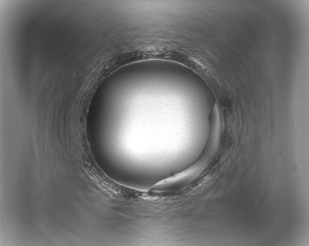 X0000067000961200603271336