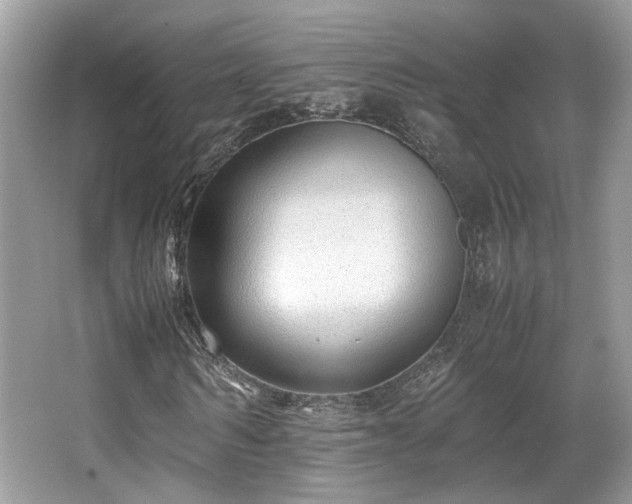 X0000067000962200603271336