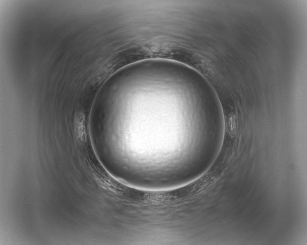 X0000067000963200603271336