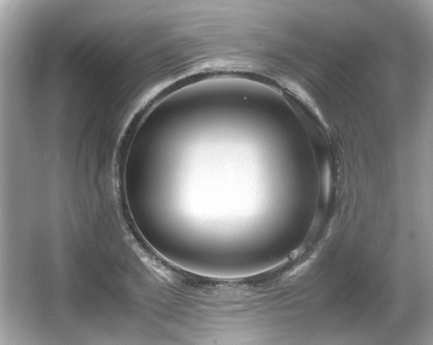 X0000067000981200603271336