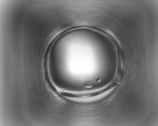 X0000067000983200603271336