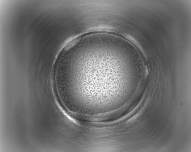 X0000067000989200603271335