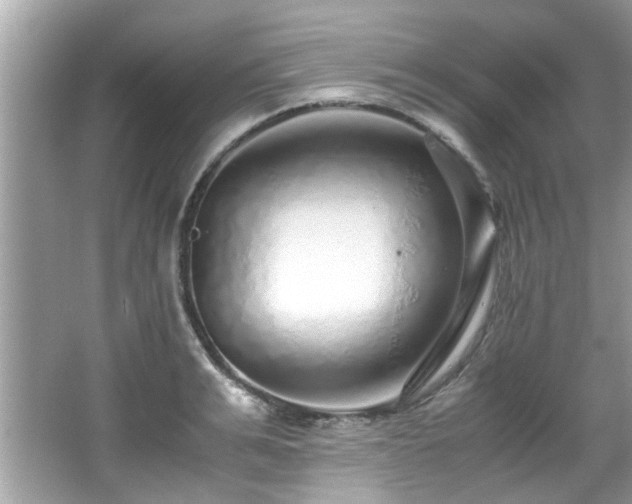 X0000067000991200603271335