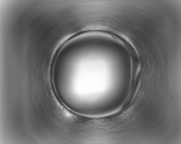 X0000067000995200603271335