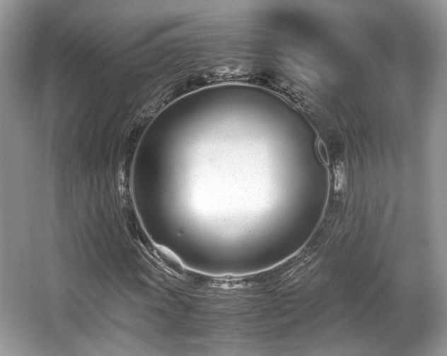 X0000067001011200603271334