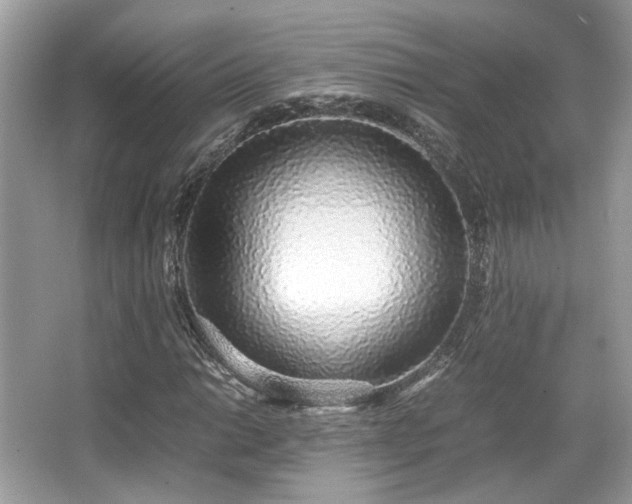 X0000067001014200603271334