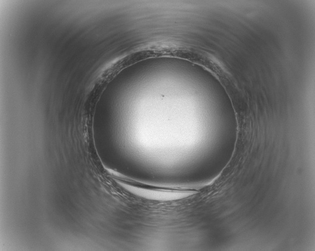 X0000067001016200603271334