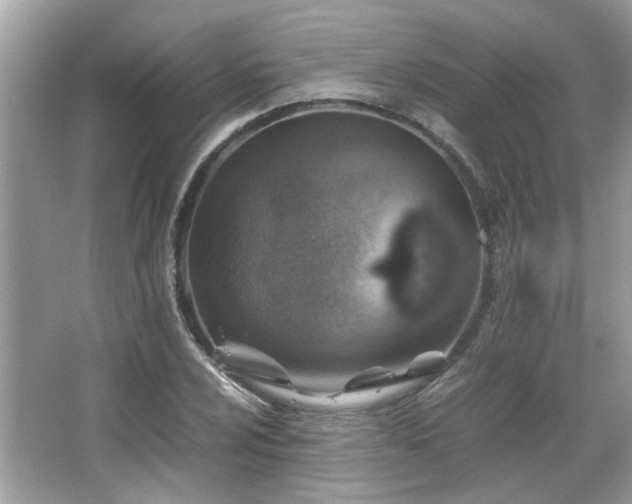 X0000067001024200603271335