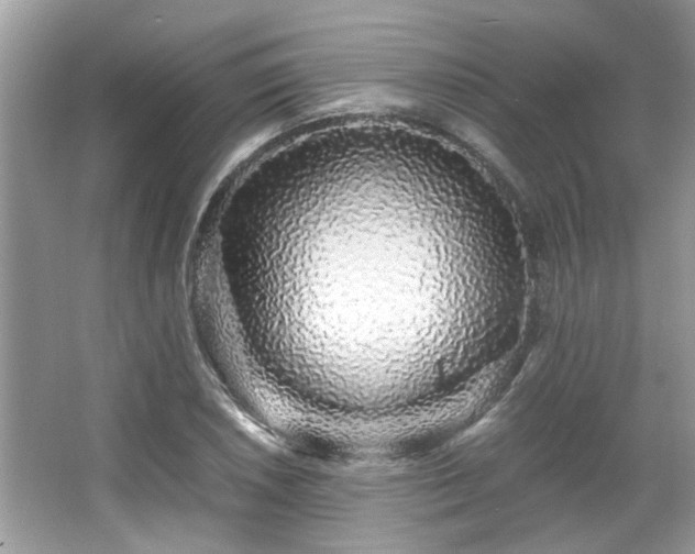X0000067001026200603271335