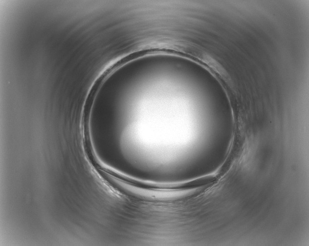 X0000067001028200603271335