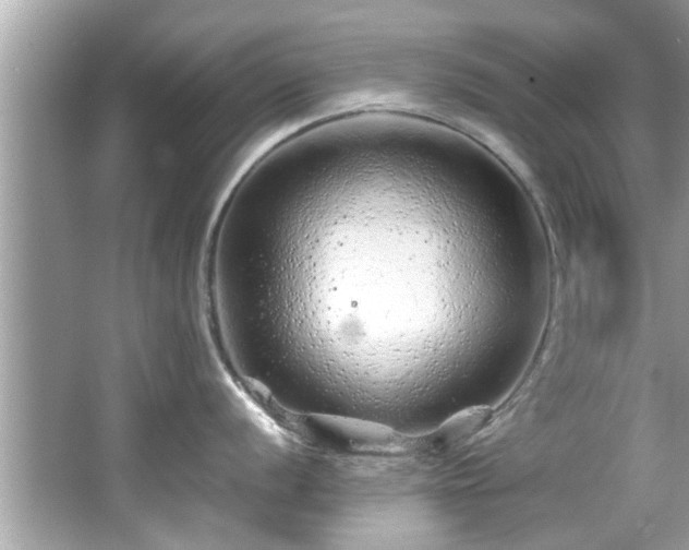 X0000067001056200603271335