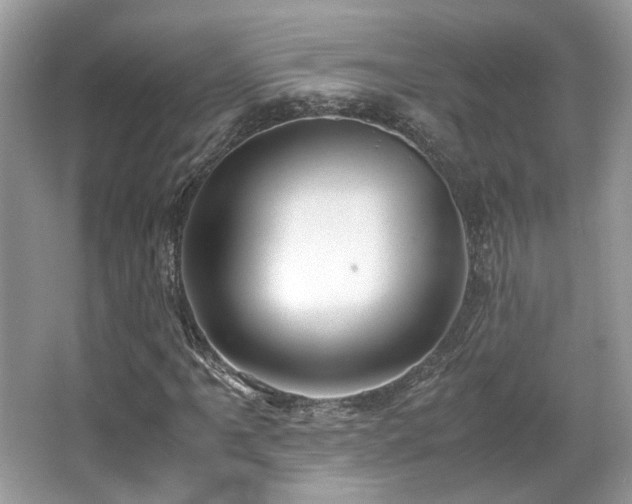 X0000067001061200603271334