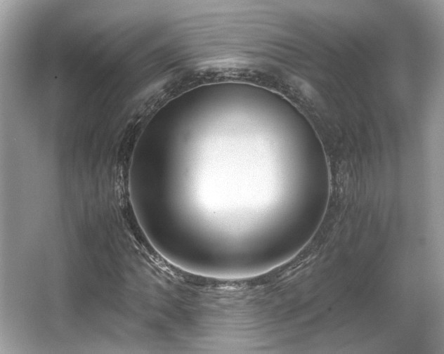 X0000067001062200603271334
