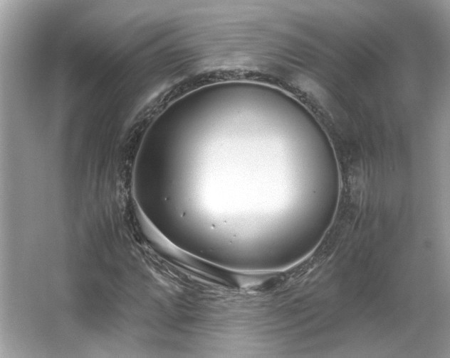 X0000067001064200603271334