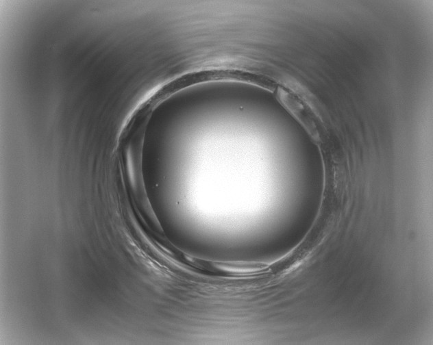 X0000067001069200603271334