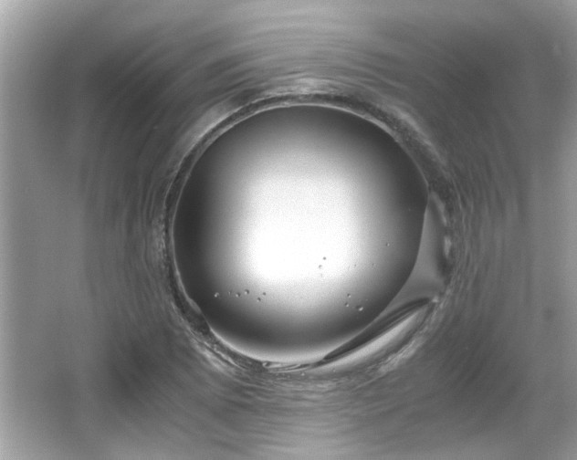 X0000067001073200603271334