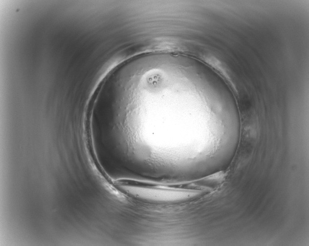 X0000067001091200603271334