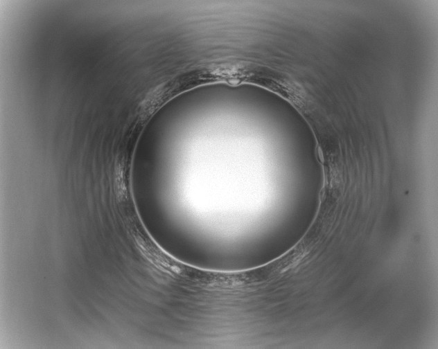 X0000067001106200603271333