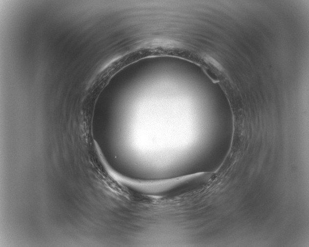 X0000067001112200603271333