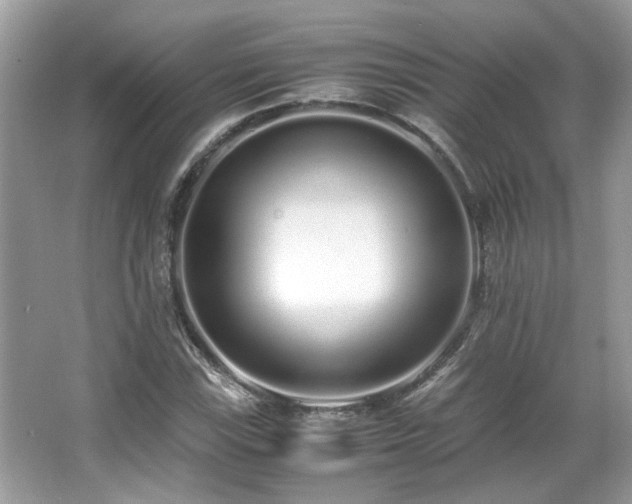 X0000067001115200603271333