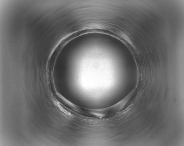 X0000067001116200603271333