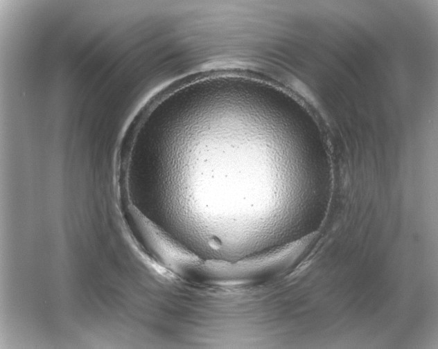 X0000067001124200603271333