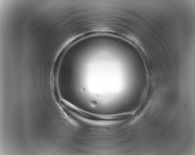 X0000067001125200603271333