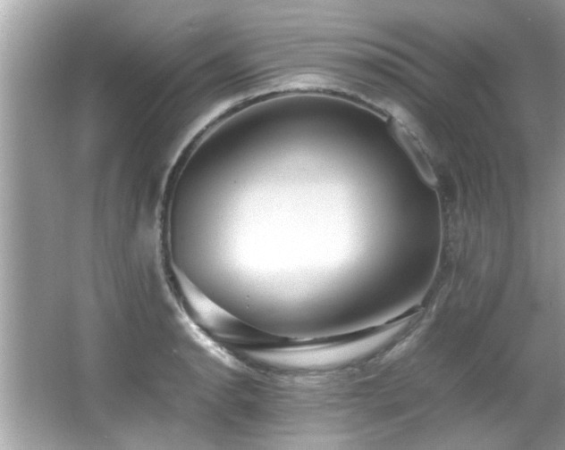 X0000067001134200603271333