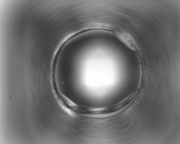 X0000067001136200603271333