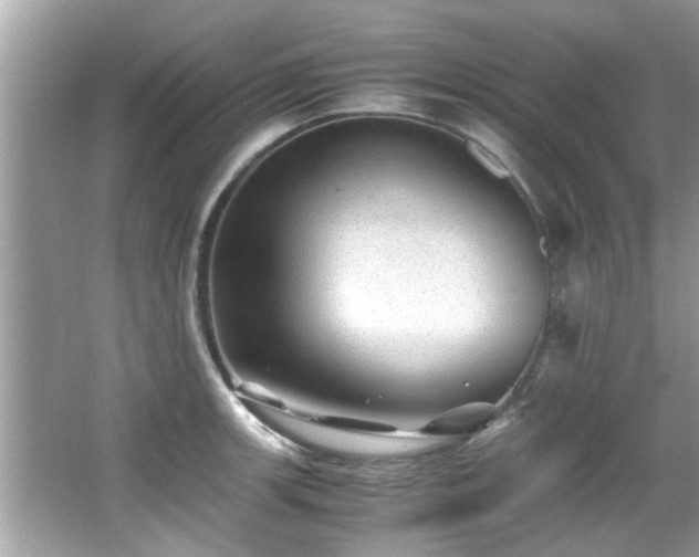 X0000067001139200603271333