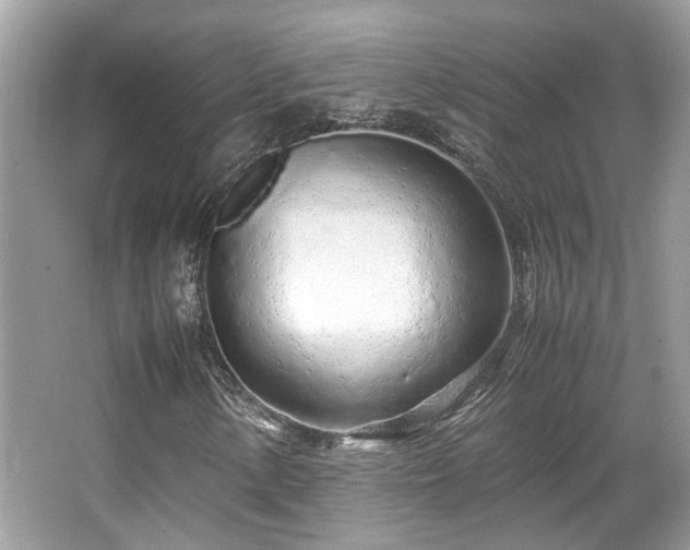 X0000067001154200603271333