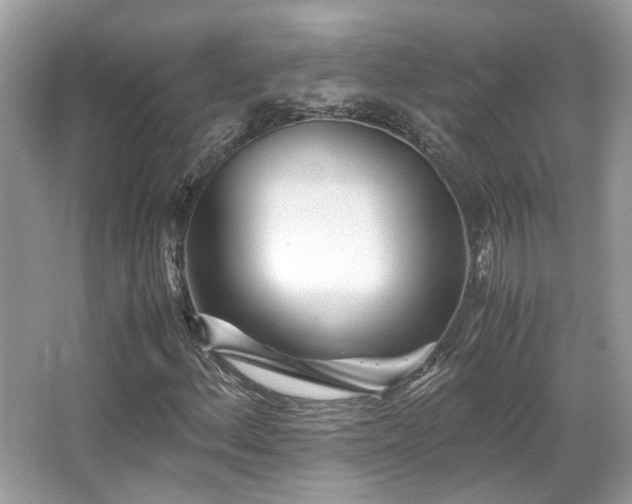 X0000067001156200603271333