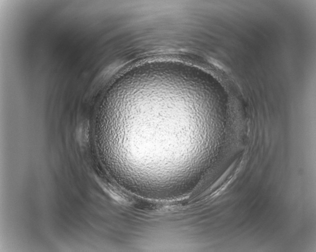 X0000067001161200603271333