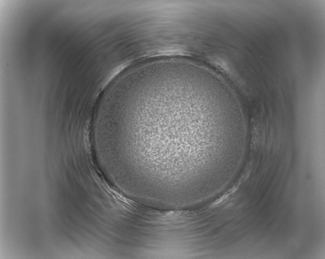 X0000067001162200603271333