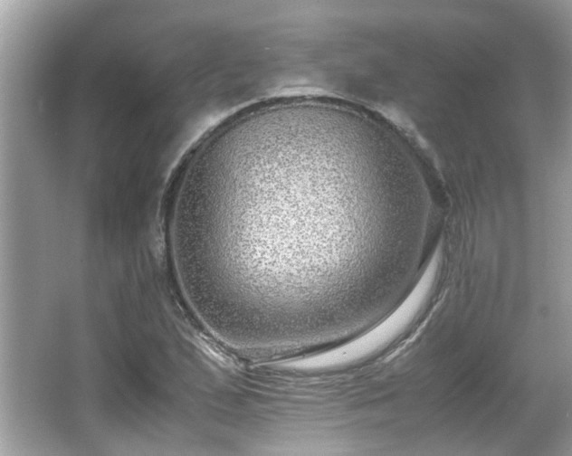 X0000067001167200603271332