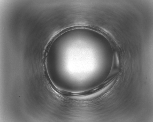 X0000067001168200603271332