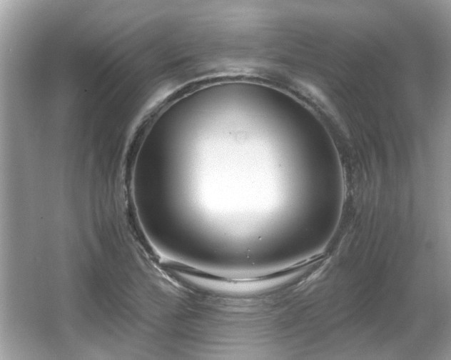 X0000067001172200603271332